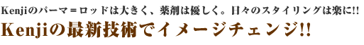 Kenji̍ŐVZpŃC[W`FW!!