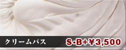 N[oX